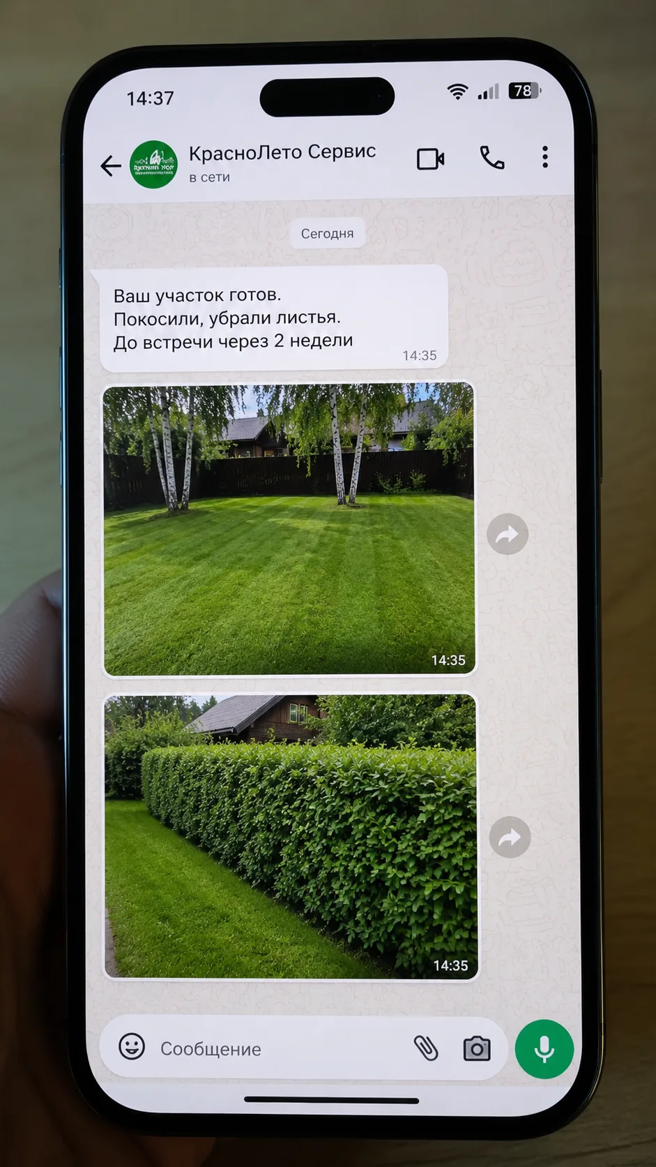 Фото-отчёт о работах от КрасноЛето